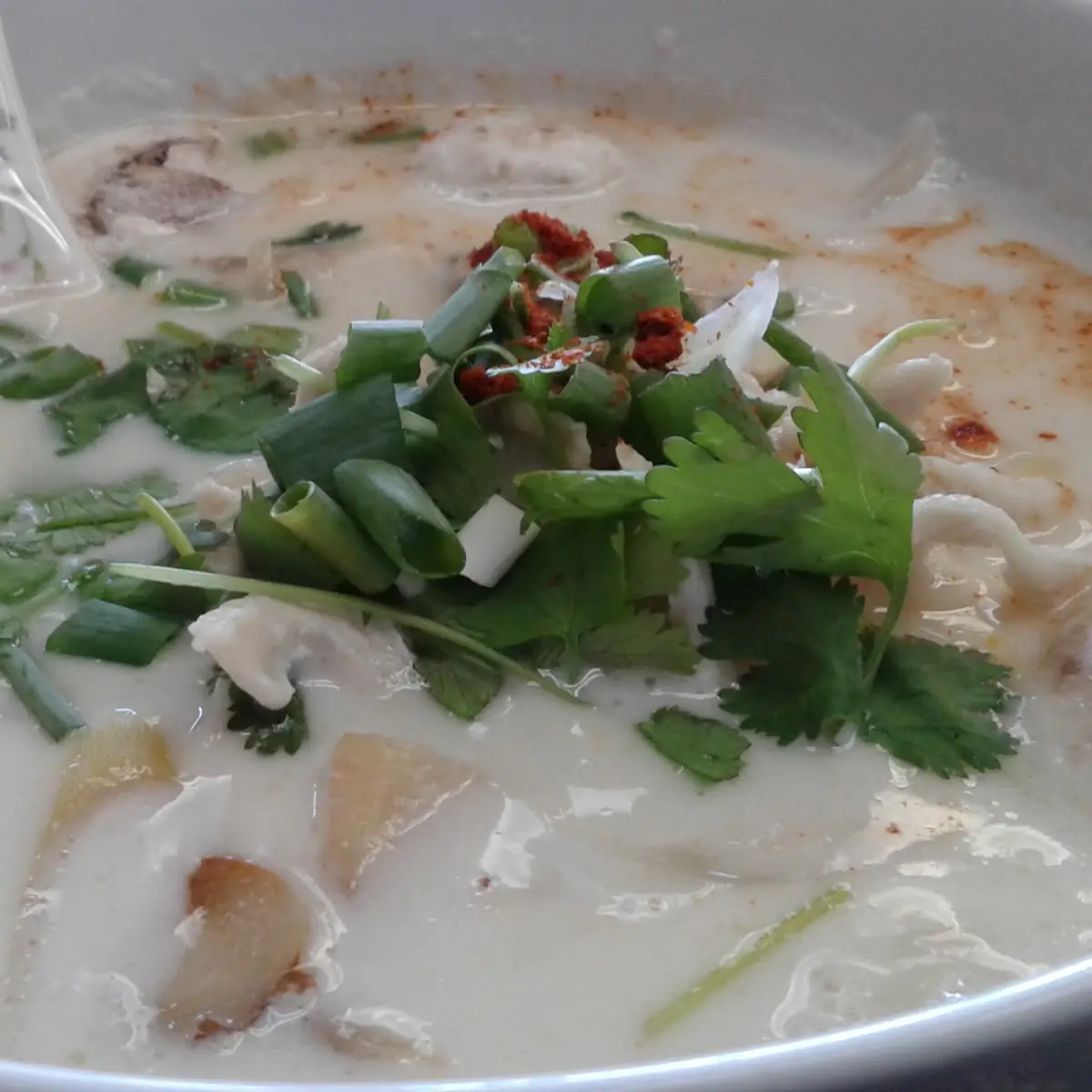 Chicken Coconut Soup