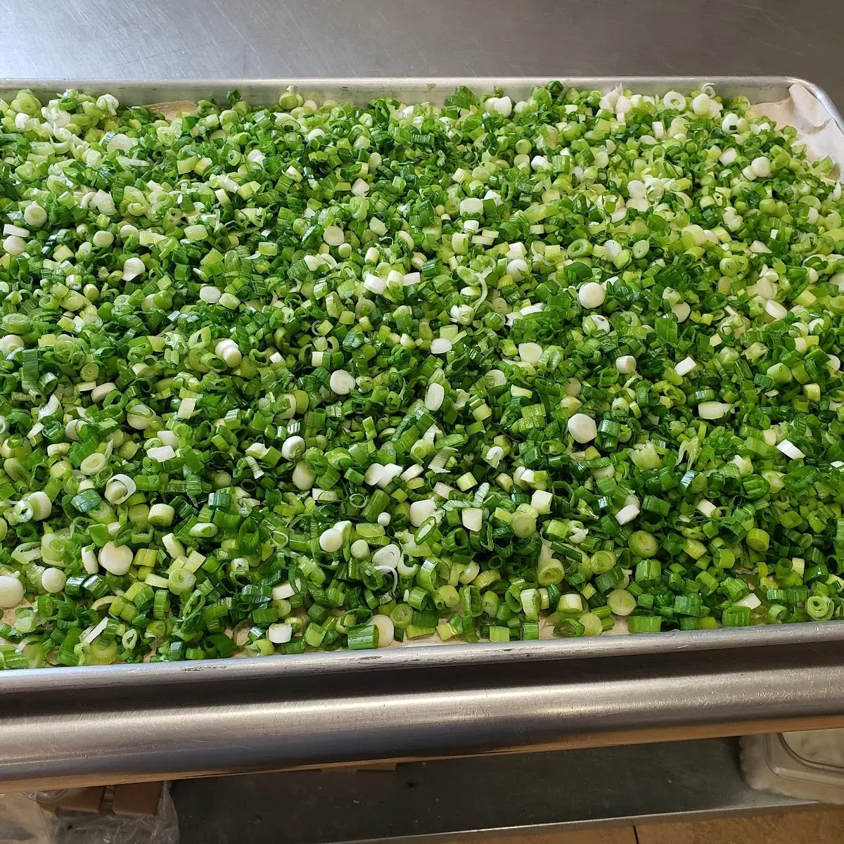 Fresh Cut Green Onions