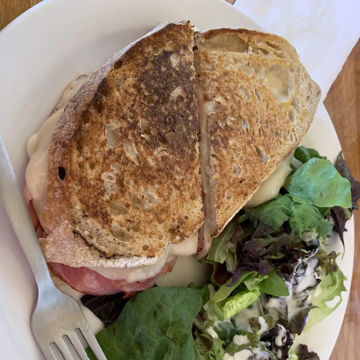 Pesto Panini