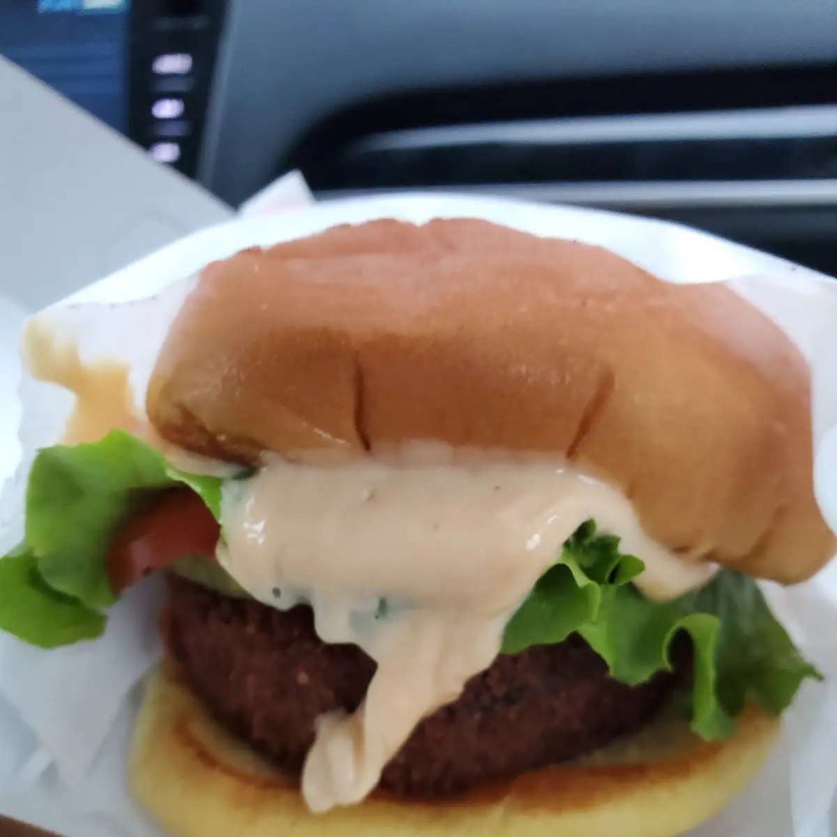 Mushroom Burger