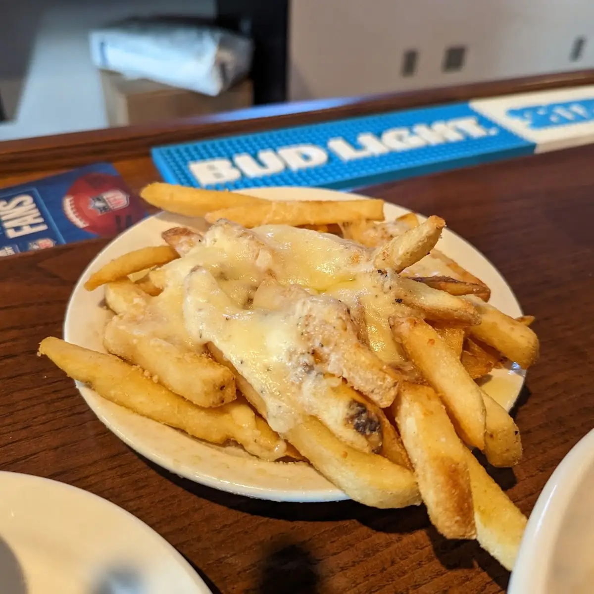 Garlic Parmesan Fries