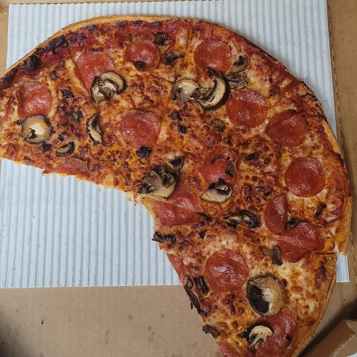 Burnt Pepperoni and Mushroom Pizza