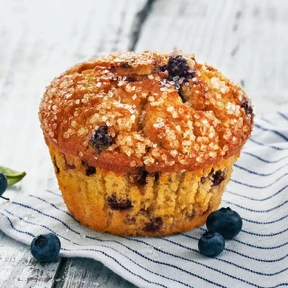 Blueberry Muffin