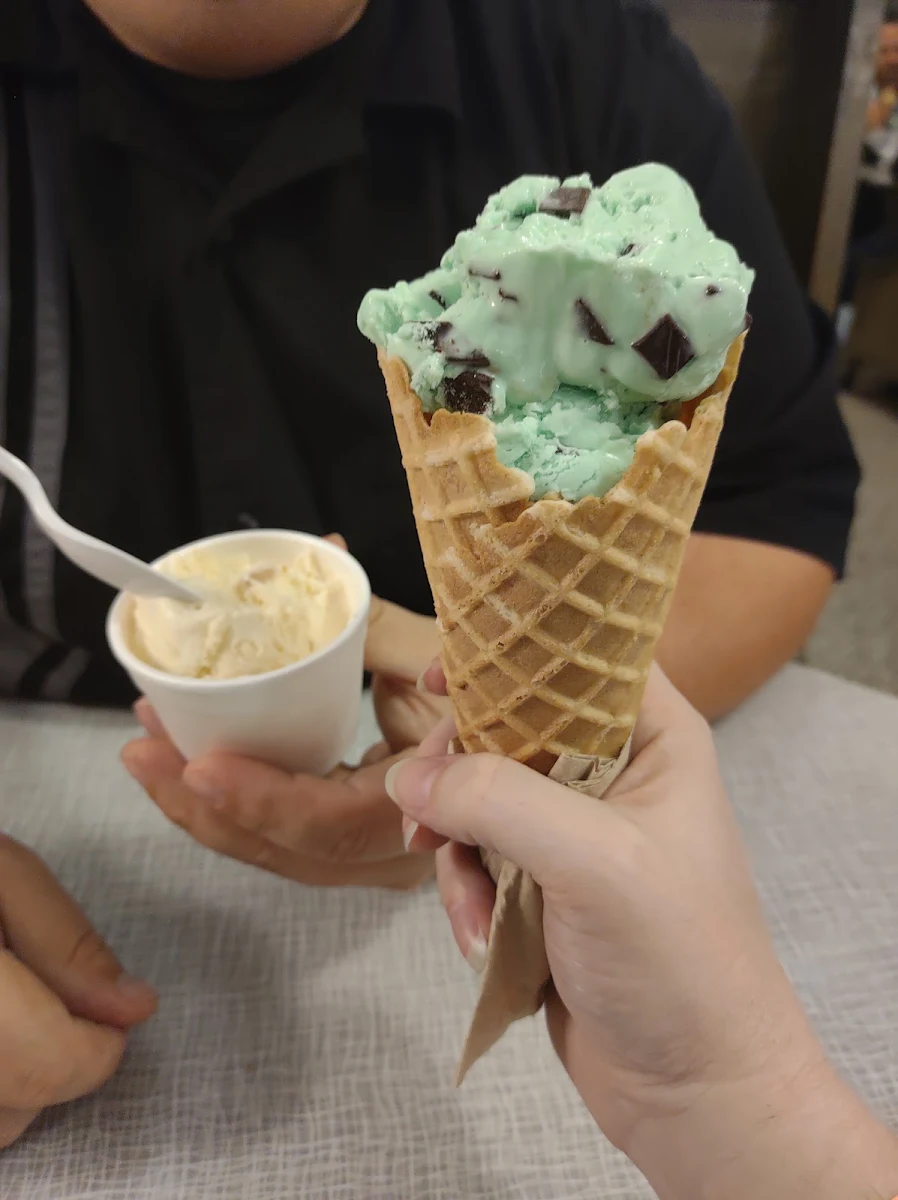 Mint Chocolate Chip Waffle Cone