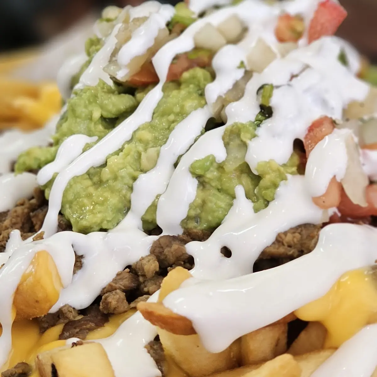 Carne Asada Fries