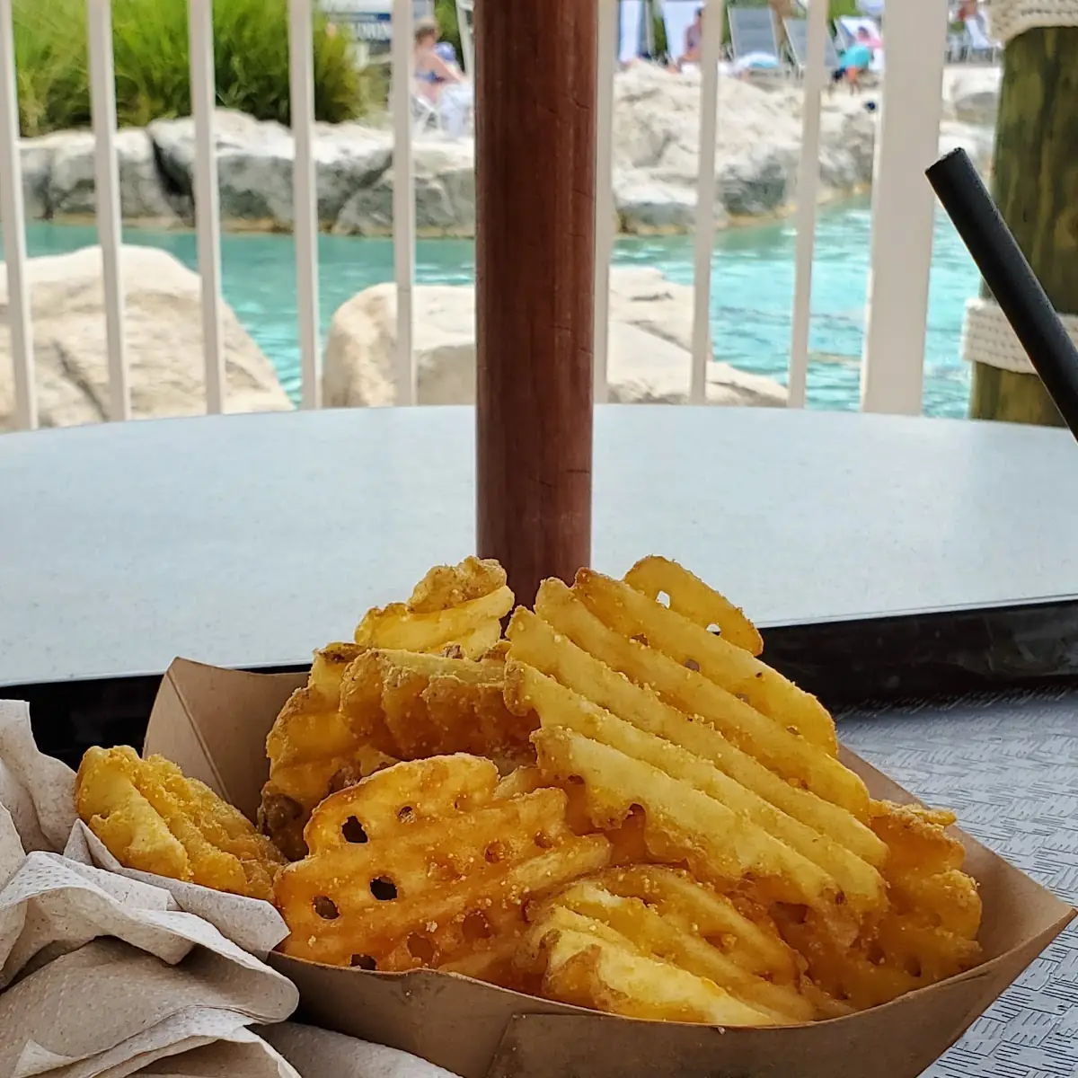 Sea Salt Fries