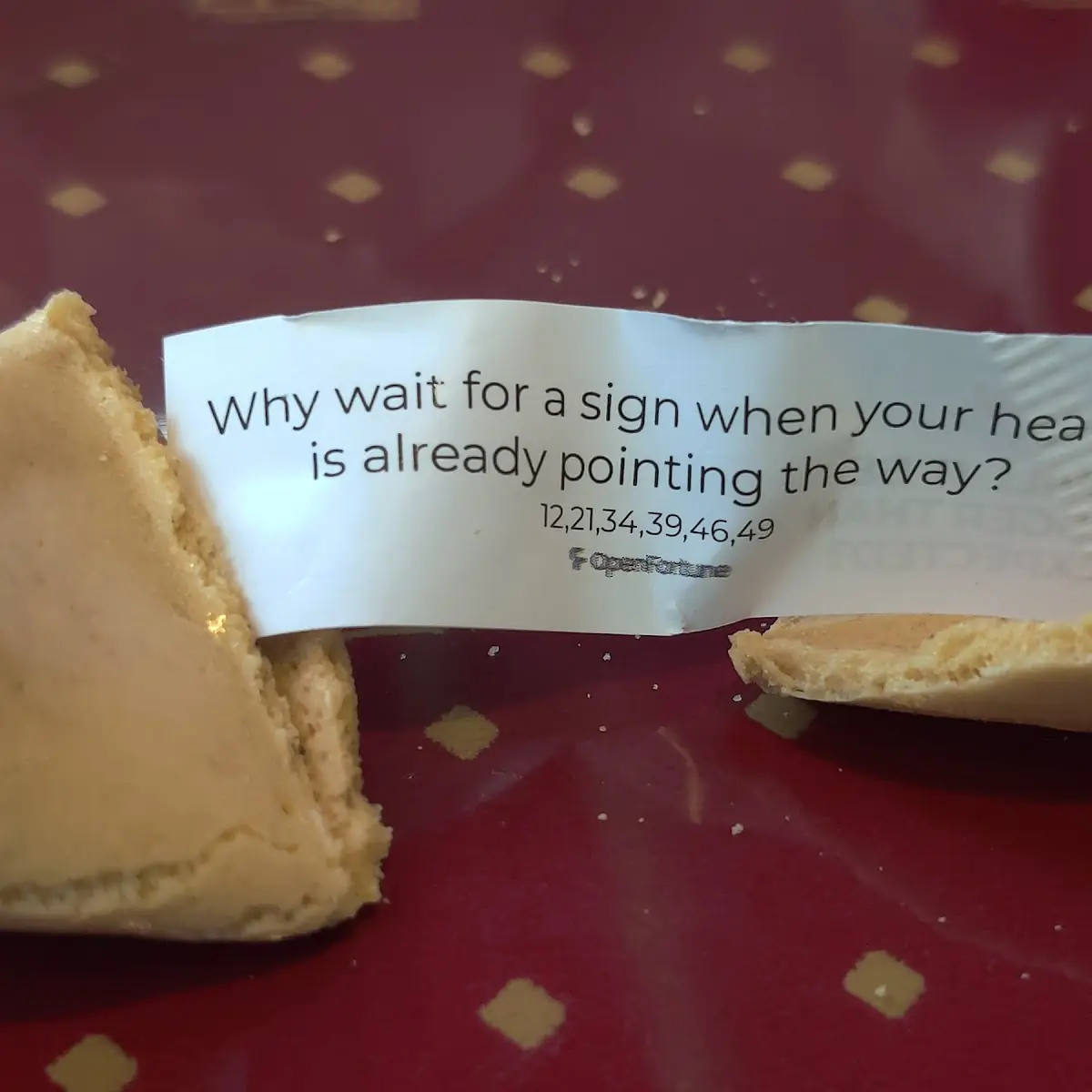 Fortune Cookie