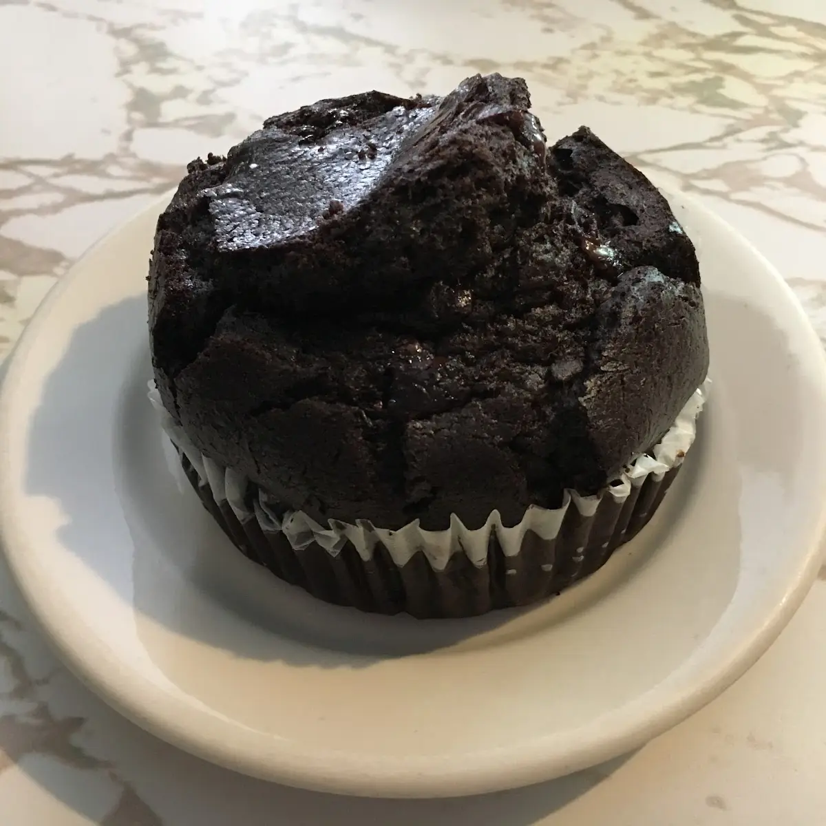 Double Chocolate Muffin