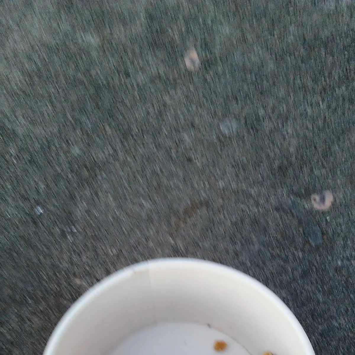 Cookie Dough Bite