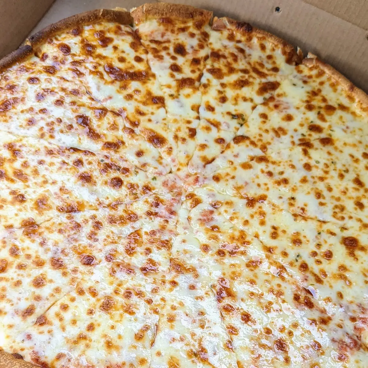 Extra Cheese Pizza