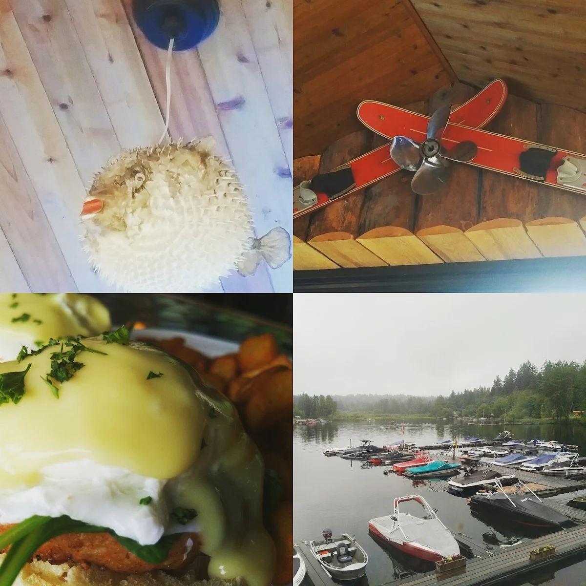 Highlights, The Galley