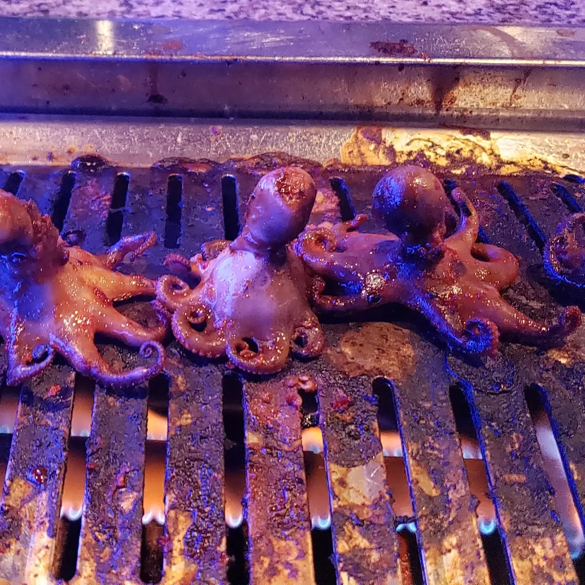 Spicy Baby Octopus