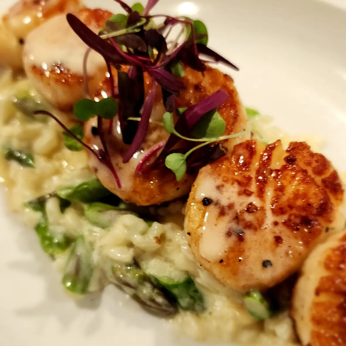 Seared Scallops