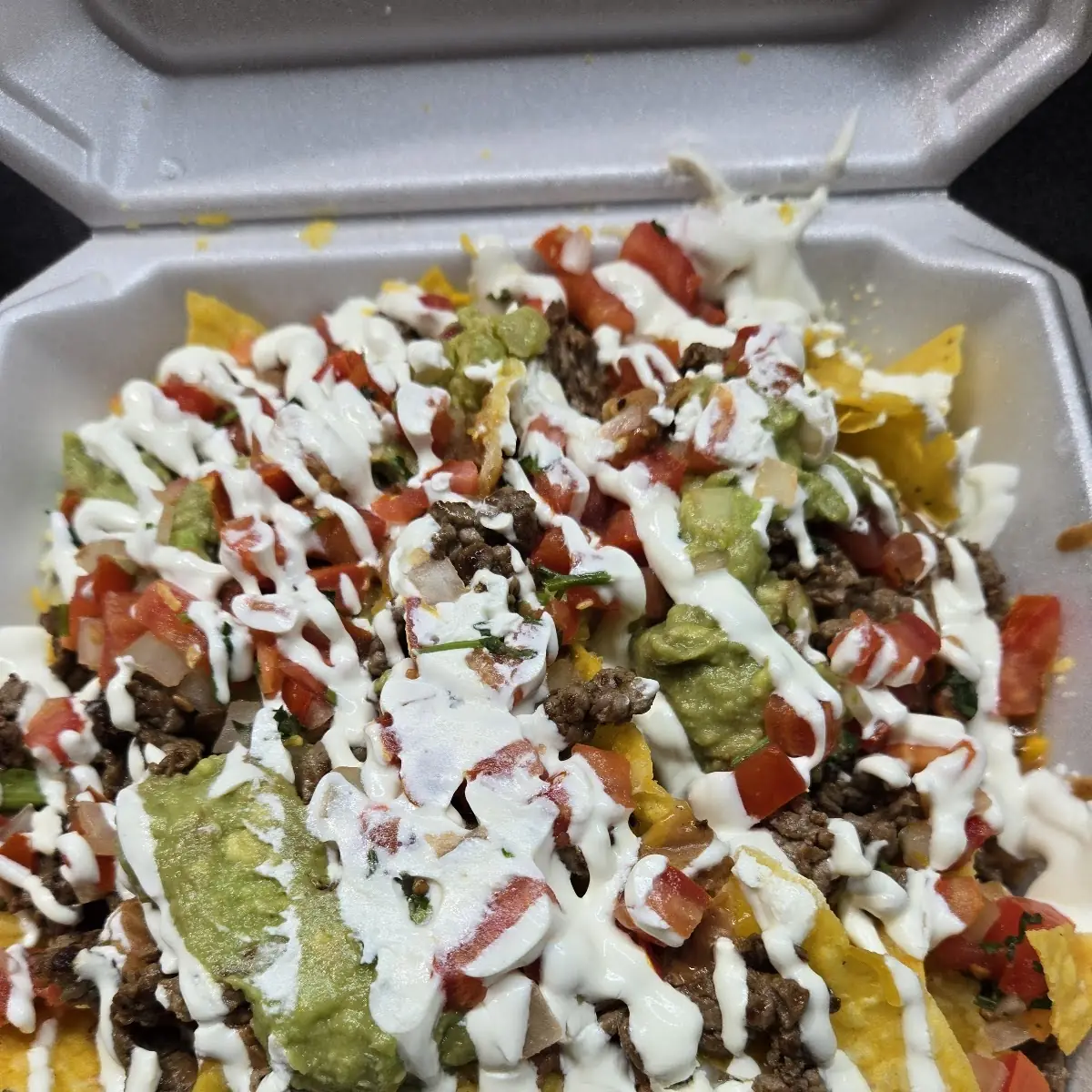 Carne Asada Fries