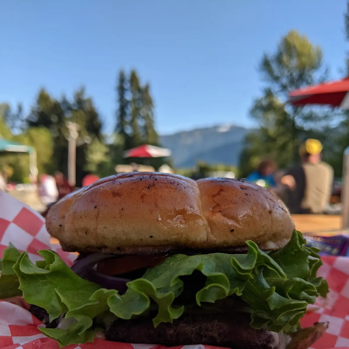 Mushroom Swiss Burger