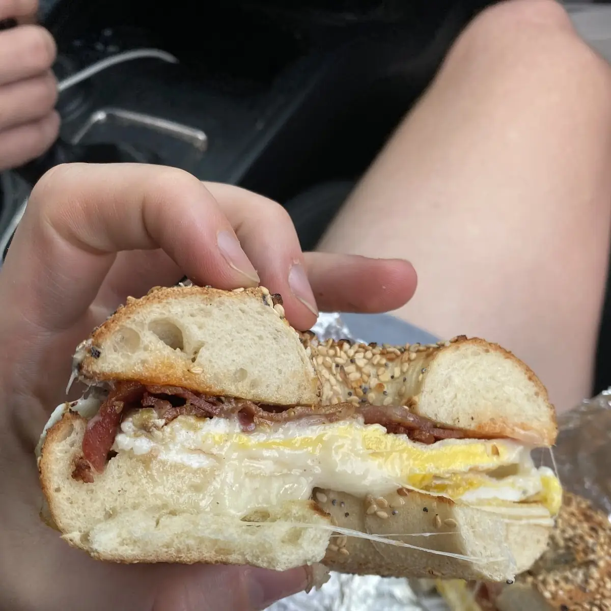 Bacon Egg and Cheddar