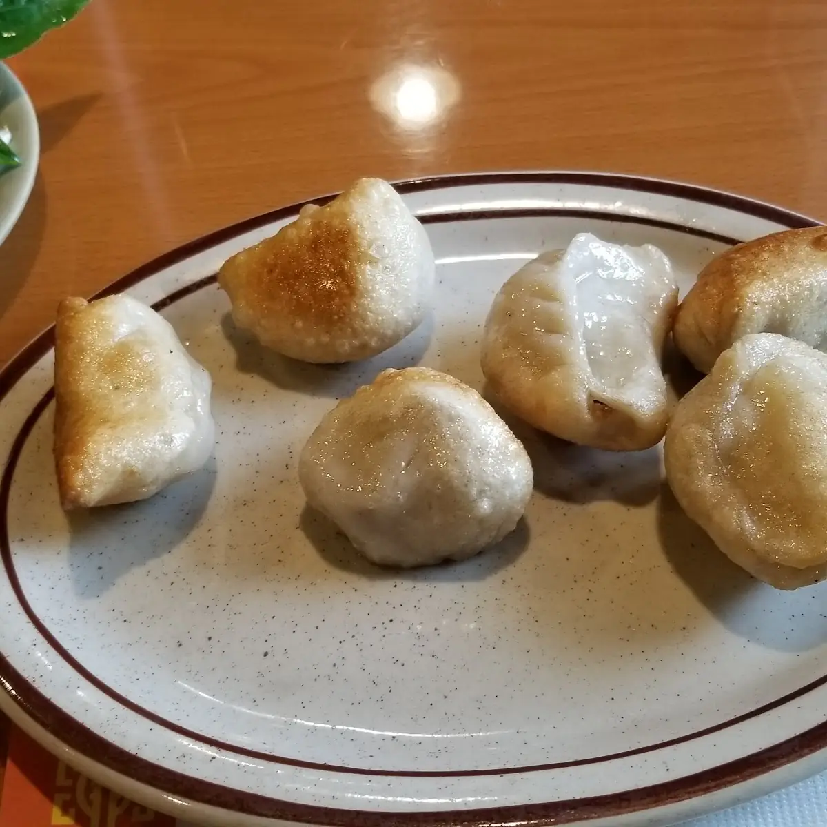 Fried Dumplings