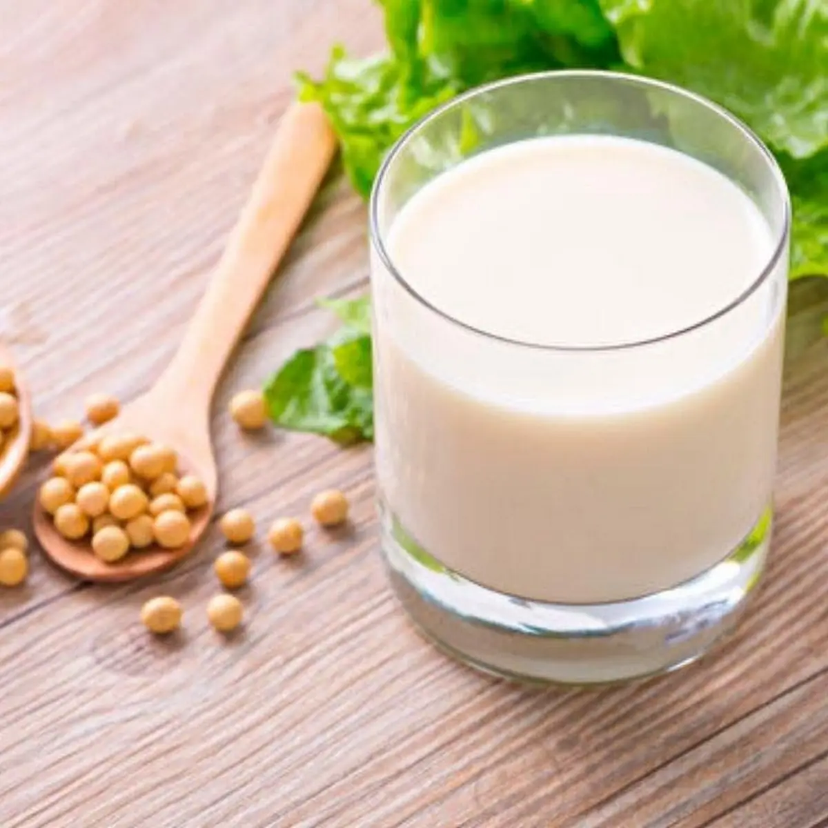 Soy Milk