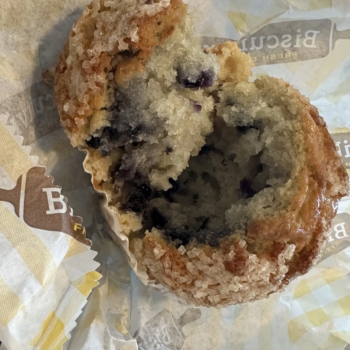 Blueberry Muffin