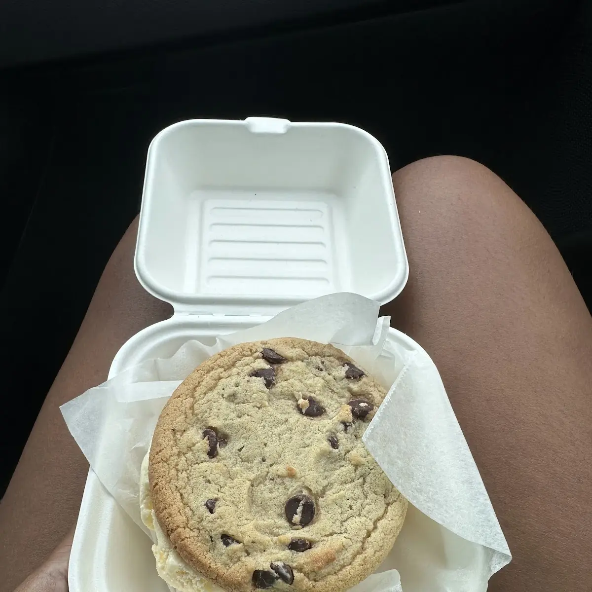 Chocolate Chip