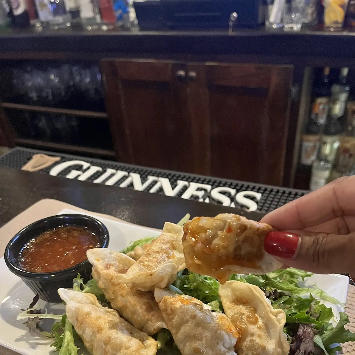 Crispy Chicken Dumplings