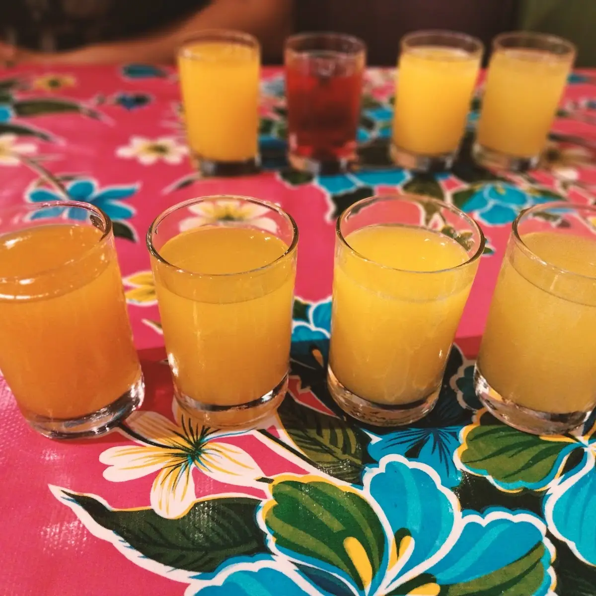 Mimosa Flight