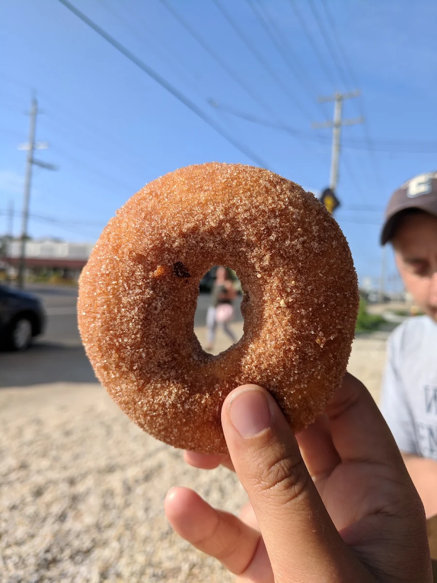 Cinnamon Sugar Donut