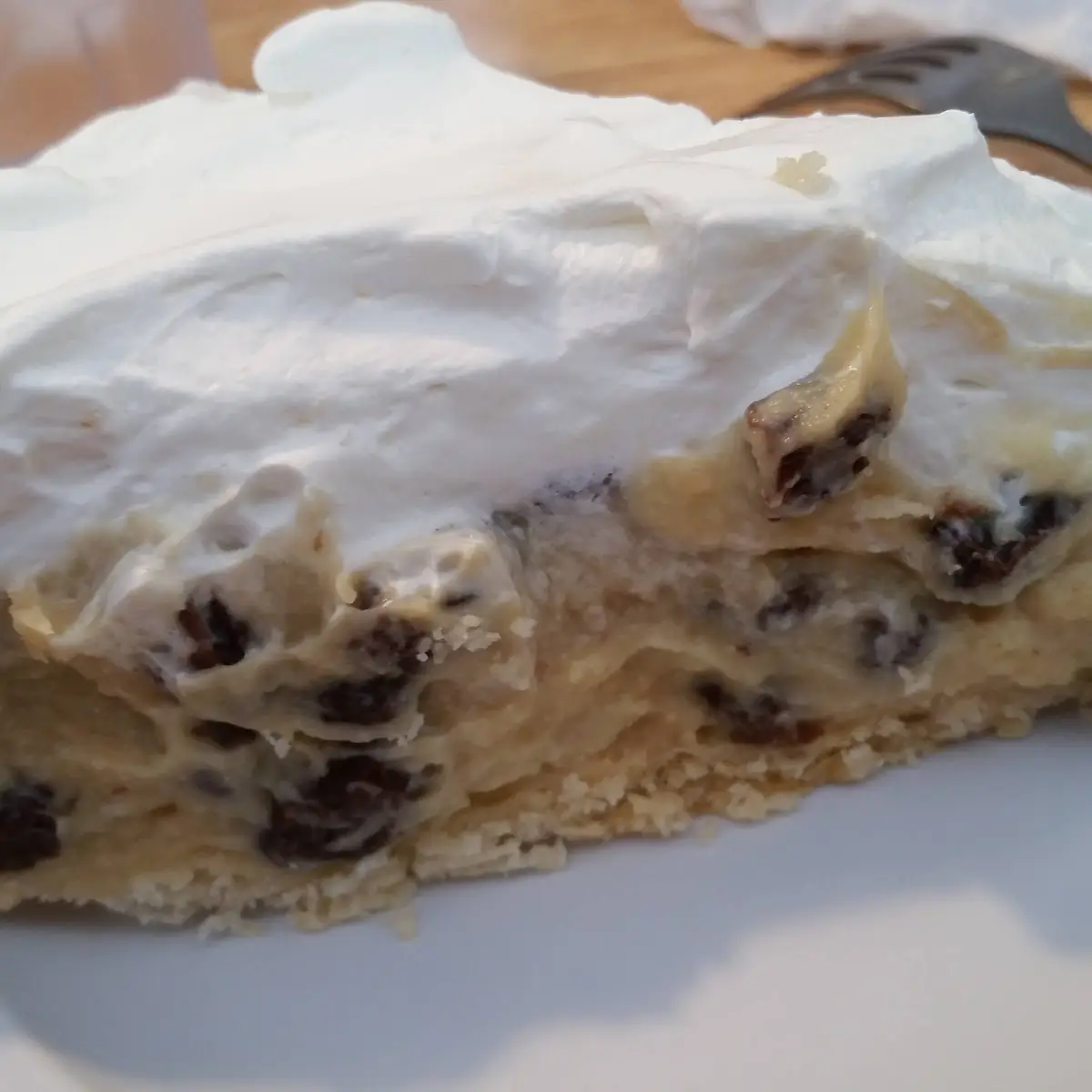 Sour Cream Rasin Pie