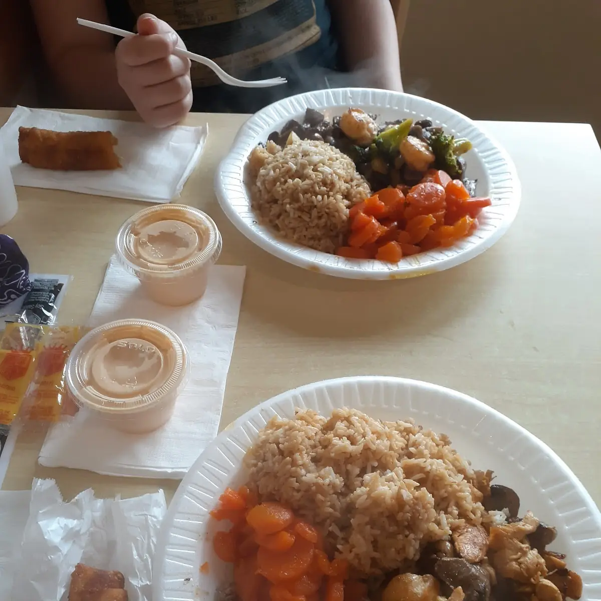 Steak and Chicken Teriyaki Combination Fried Rice