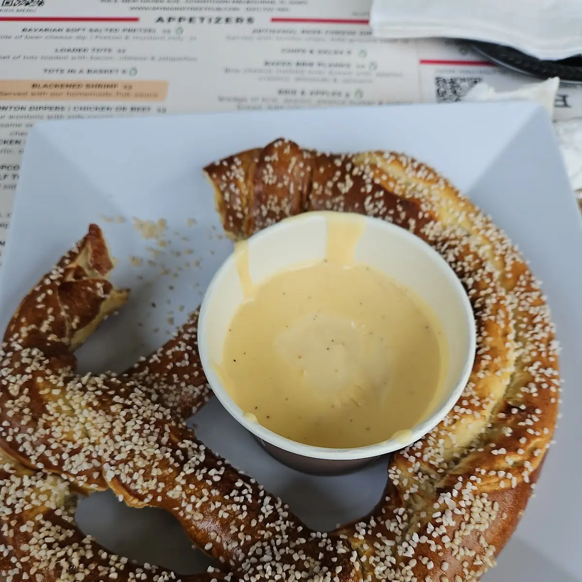 Bavarian Soft Salted Pretzel