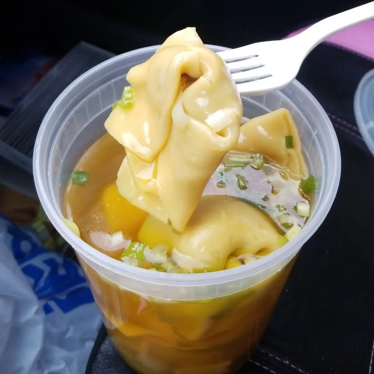 Wonton Soup