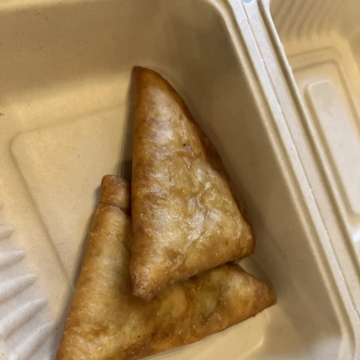 Vegetable Samosa