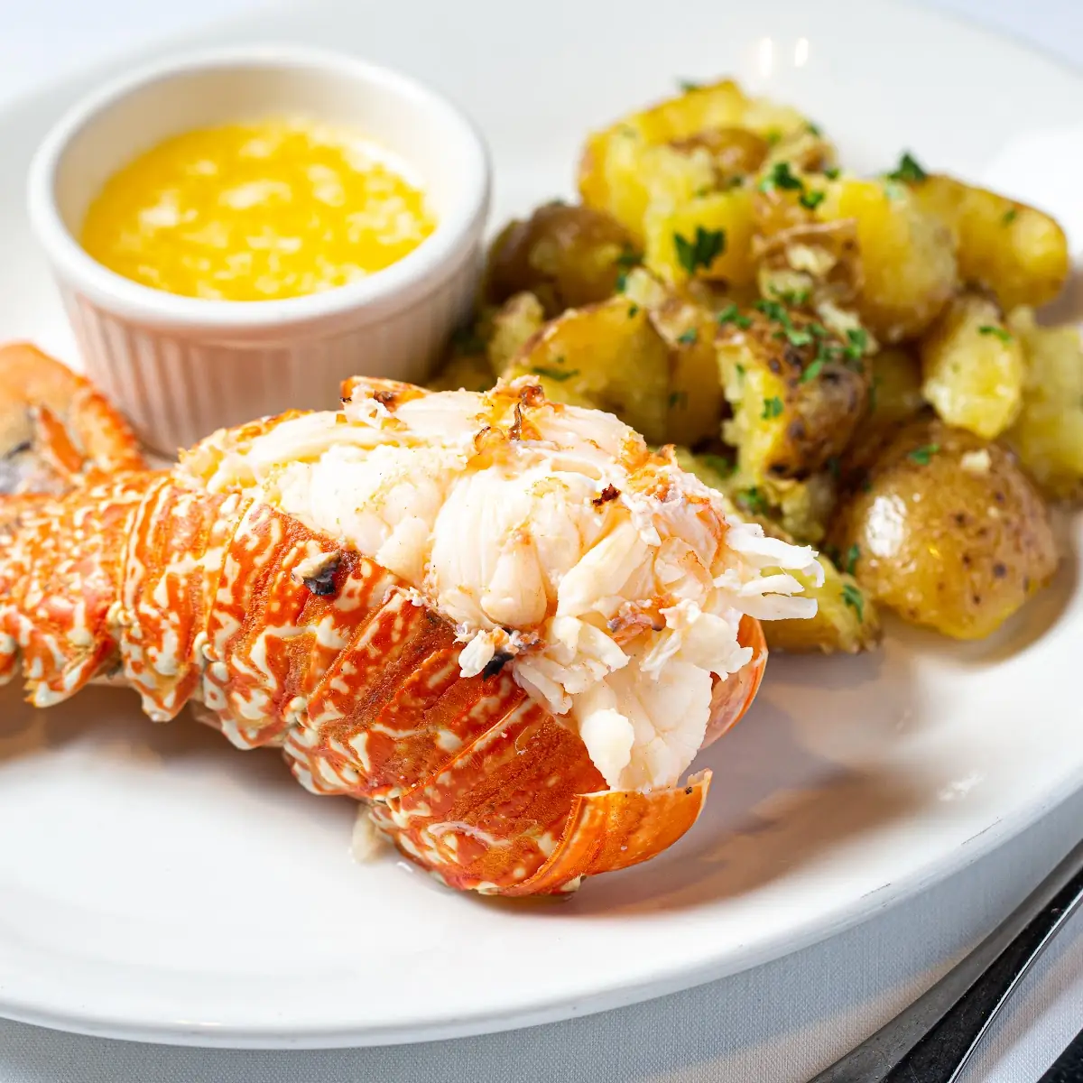 Lobster Tail
