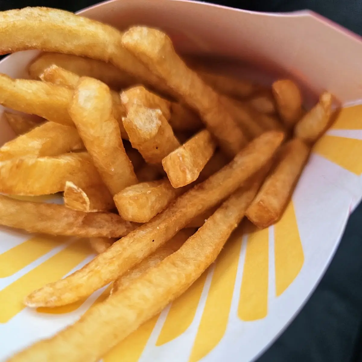 World Famous Fries
