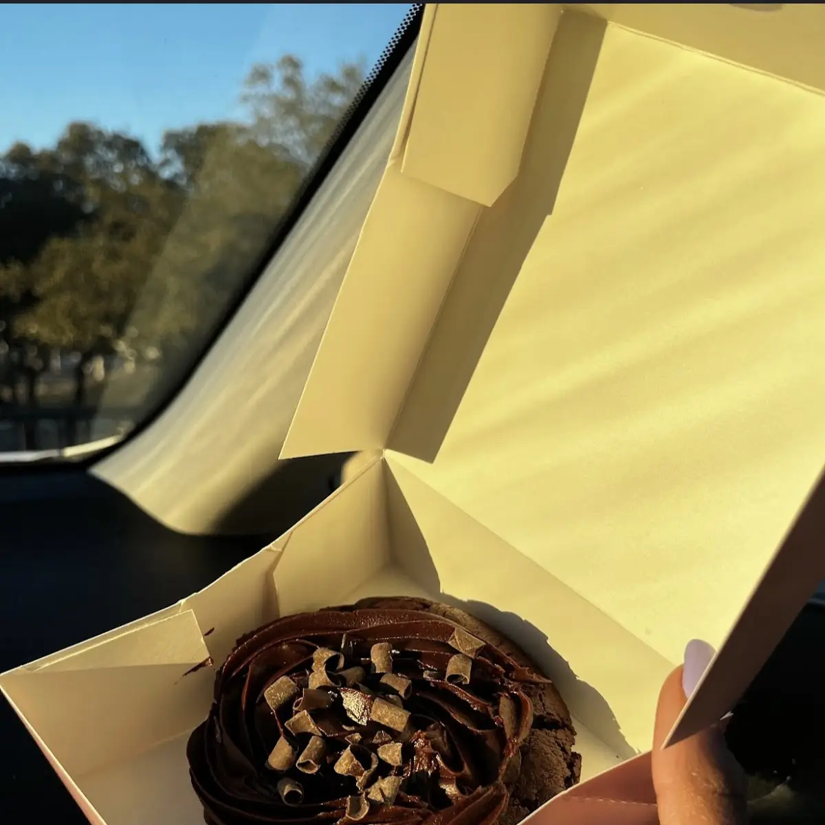 Chocolate Cookie