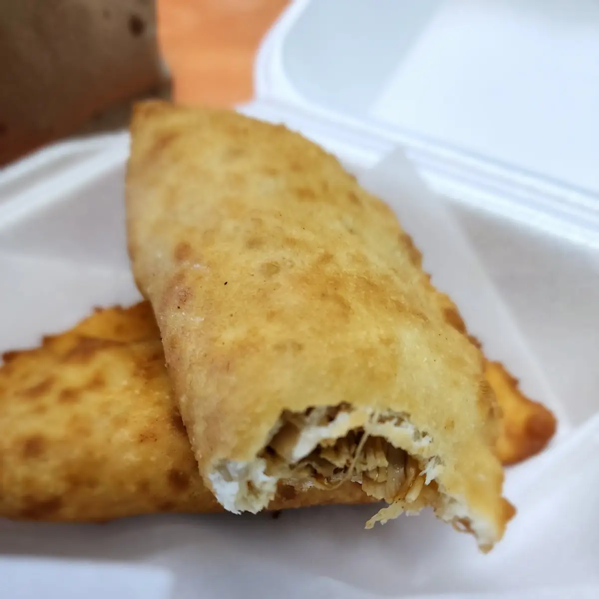 Chicken Empanada