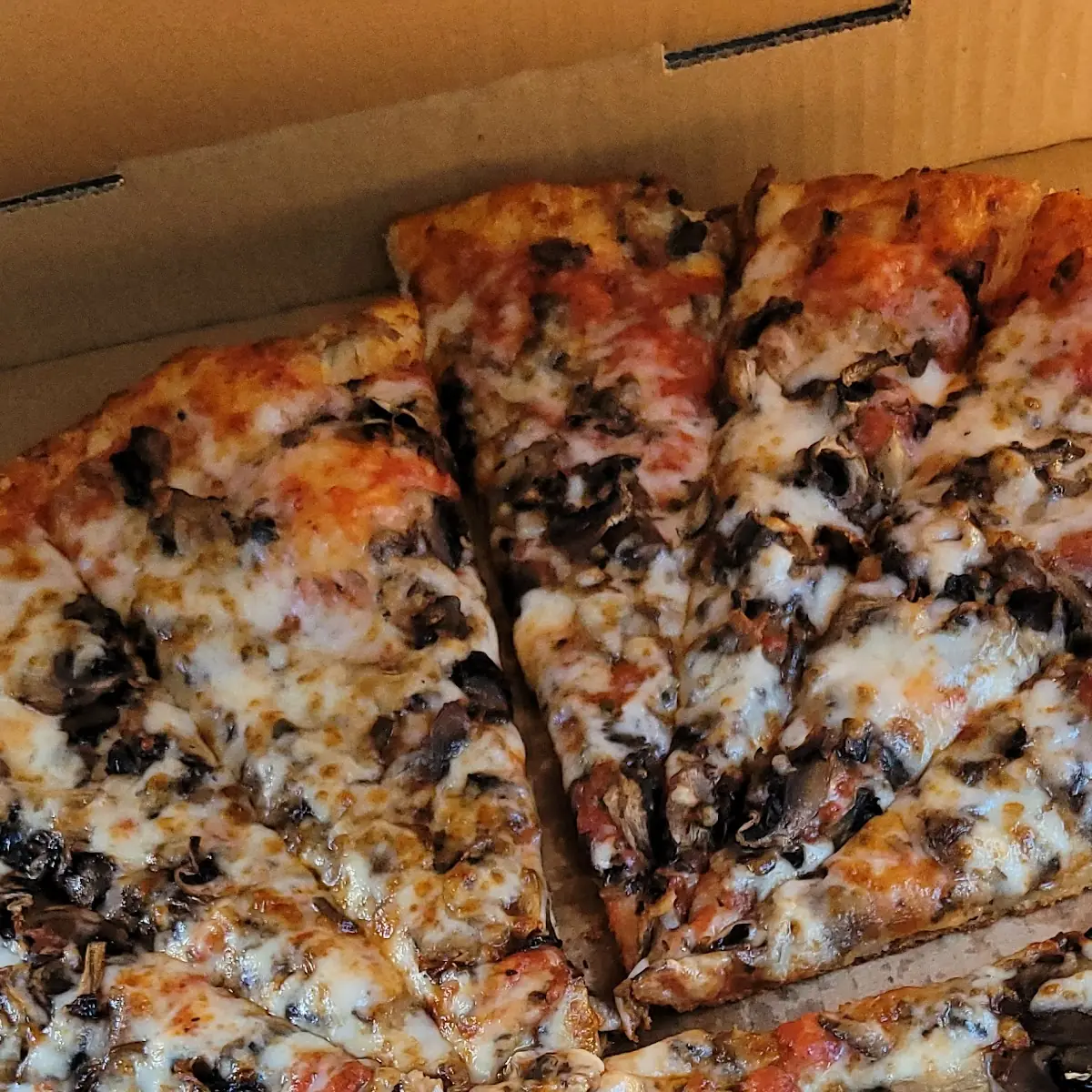 Cheese Mushroom Pizza