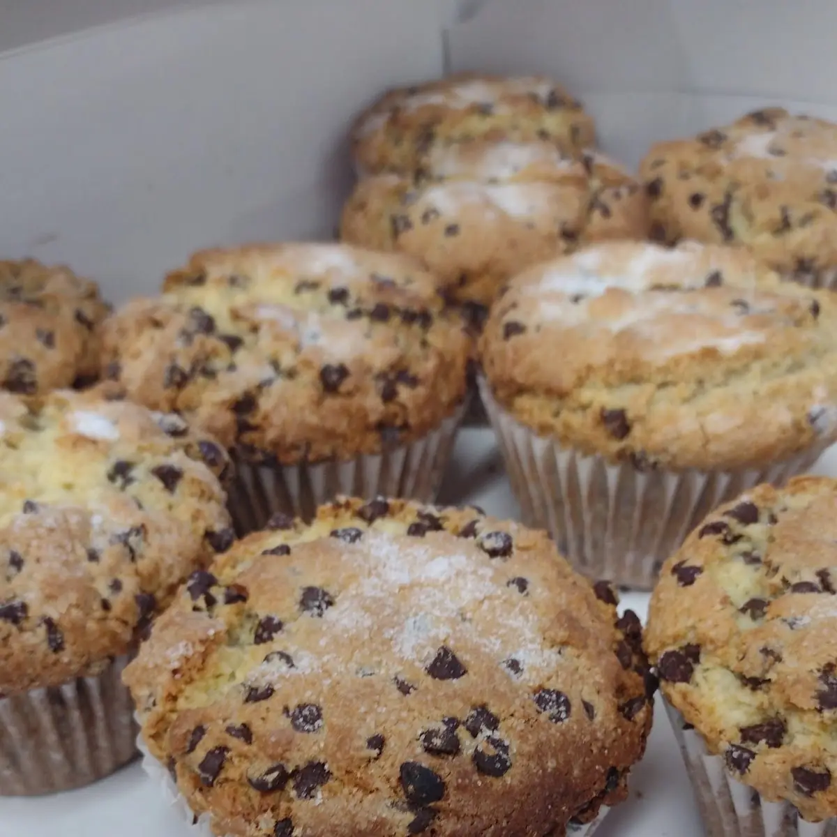 Choc Chip Muffins