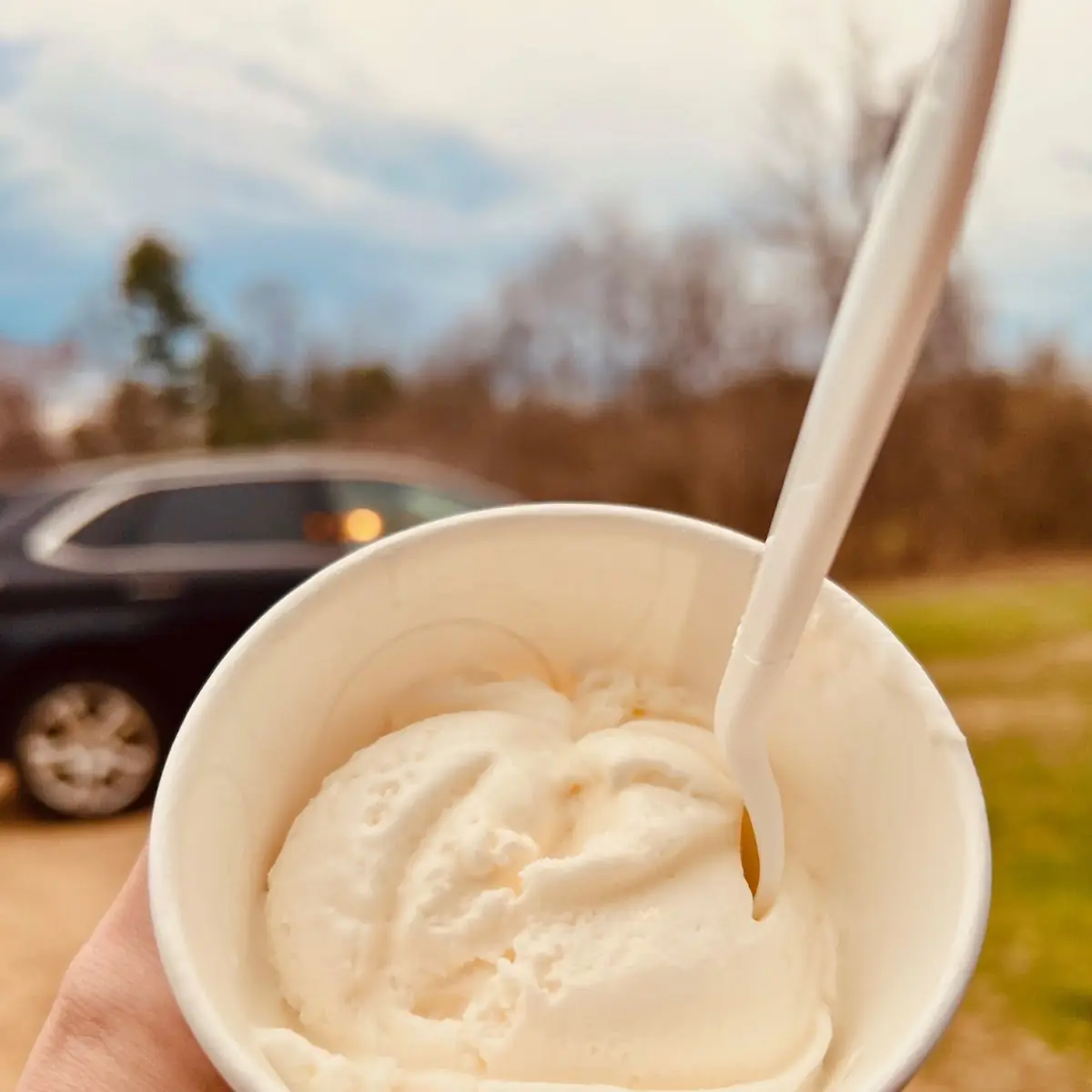 Frozen Yogurt