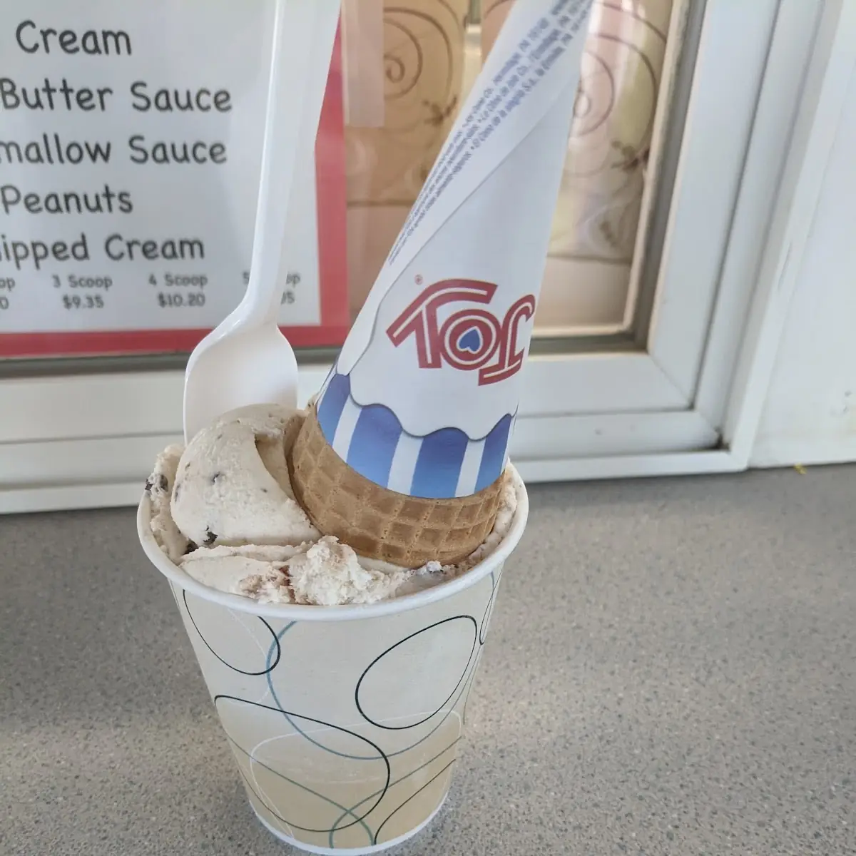 Mint Chocolate Chip Ice-Cream with Sugar Cone