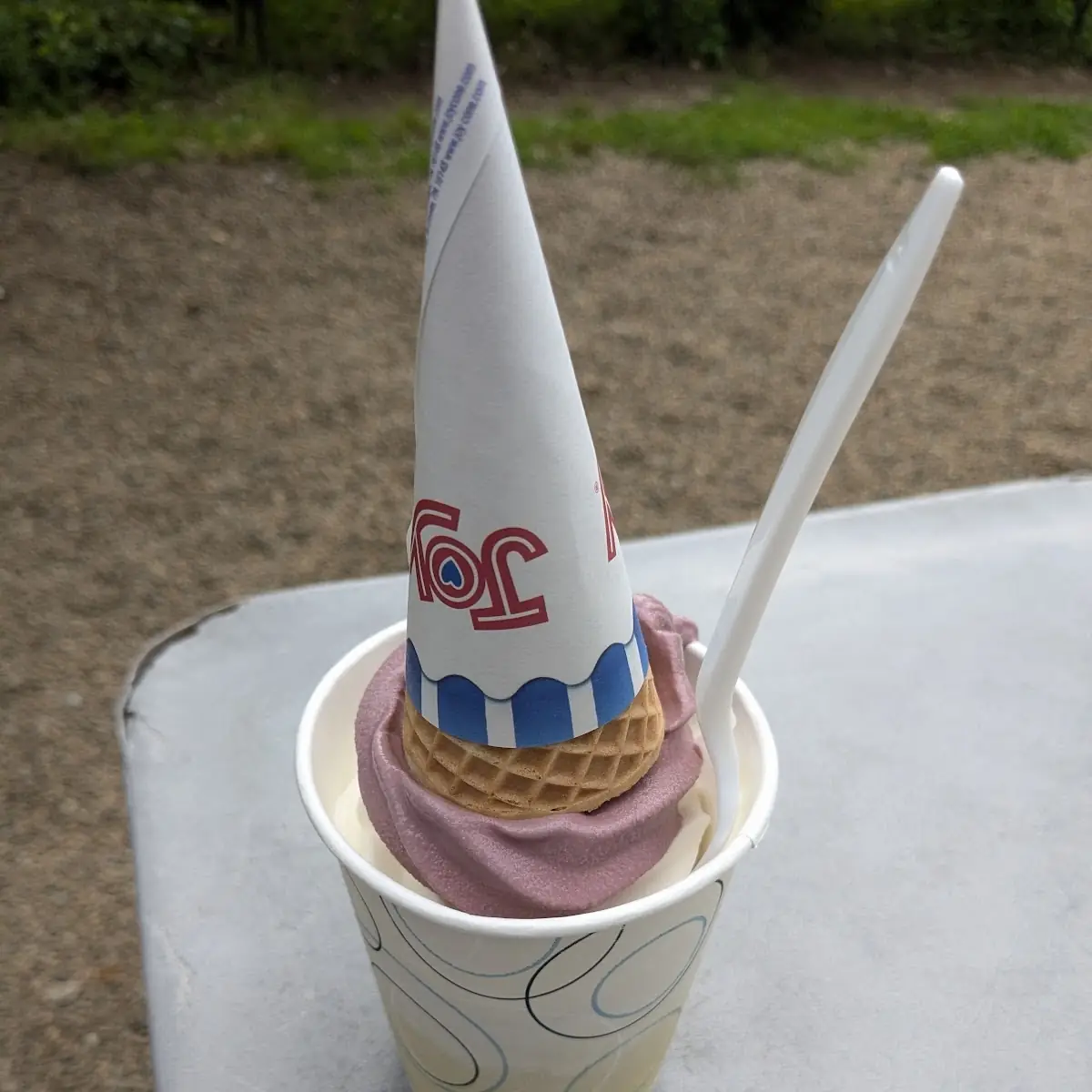 Soft Serve Raspberry Vanilla Twist Ice-Cream
