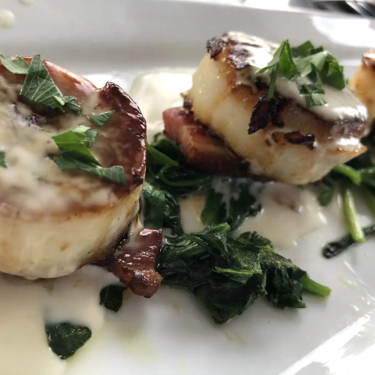 Seared Scallops & Pork Belly
