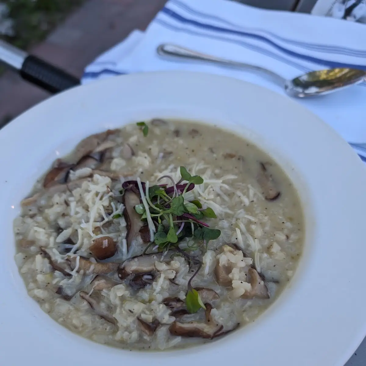 Truffle Mushroom Risotto