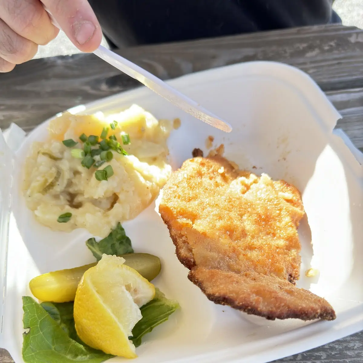 Schnitzel & Potato Salad