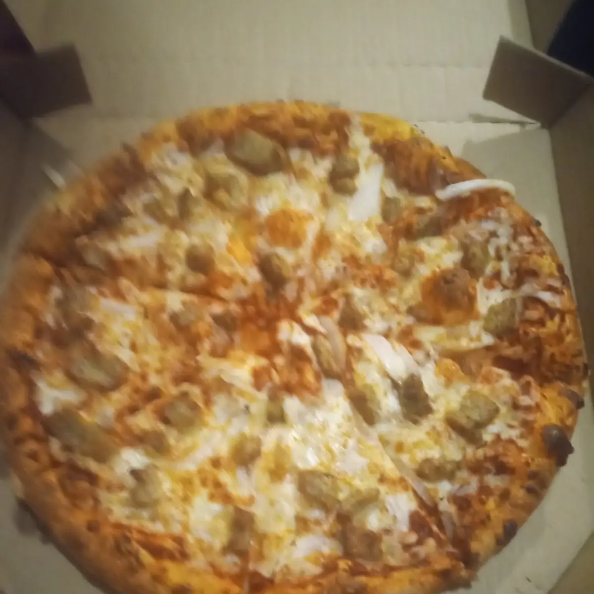 Large Sausage and Onion Thin Crust