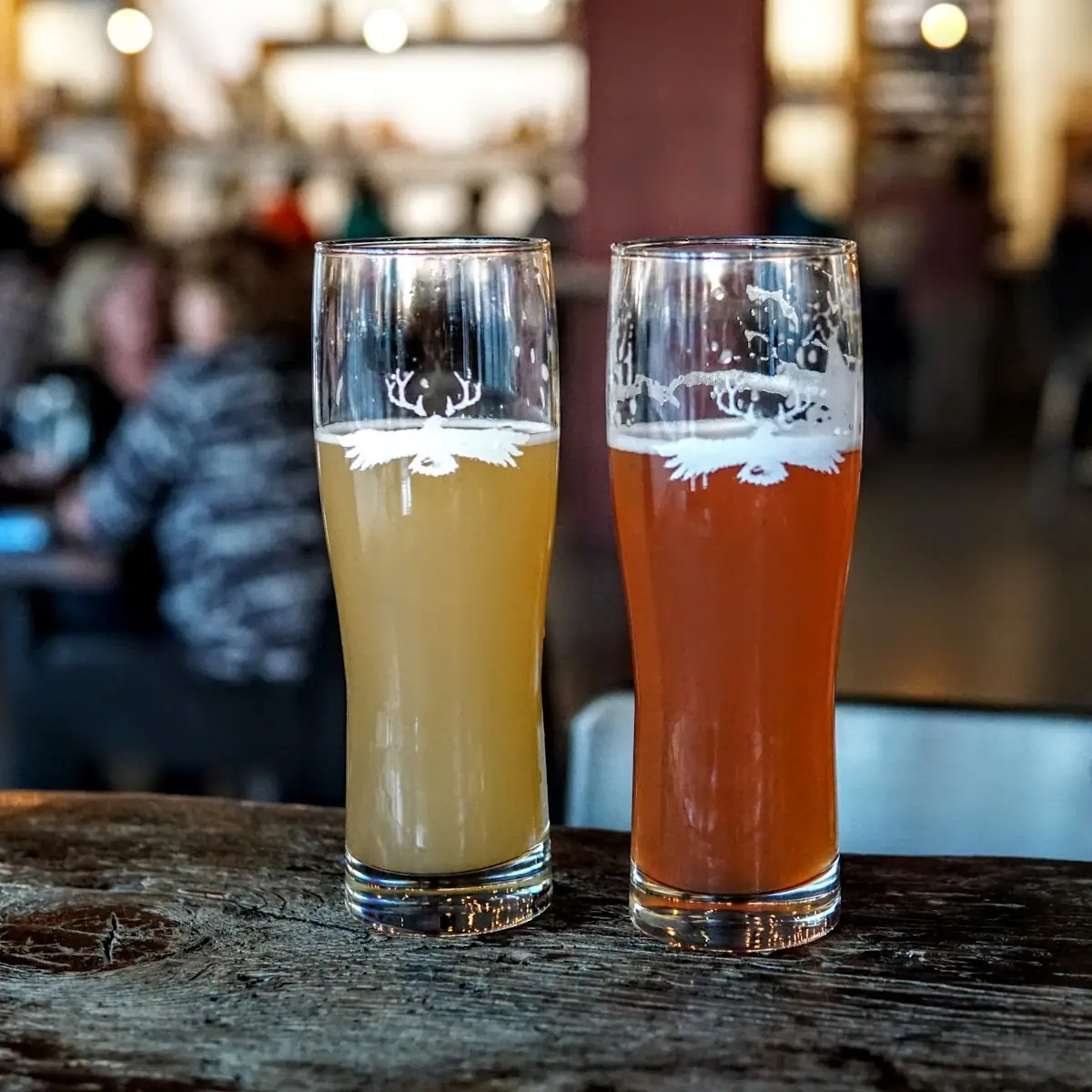 Apple Pie Cider