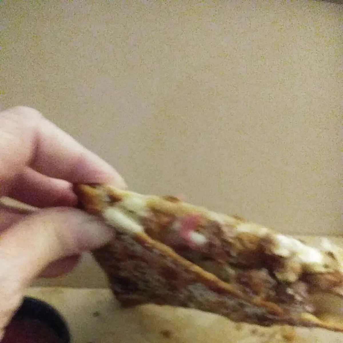 Meat Lover's Melt