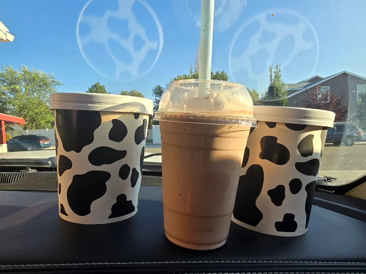 Chocolate Malt 2 Pints Ice Cream
