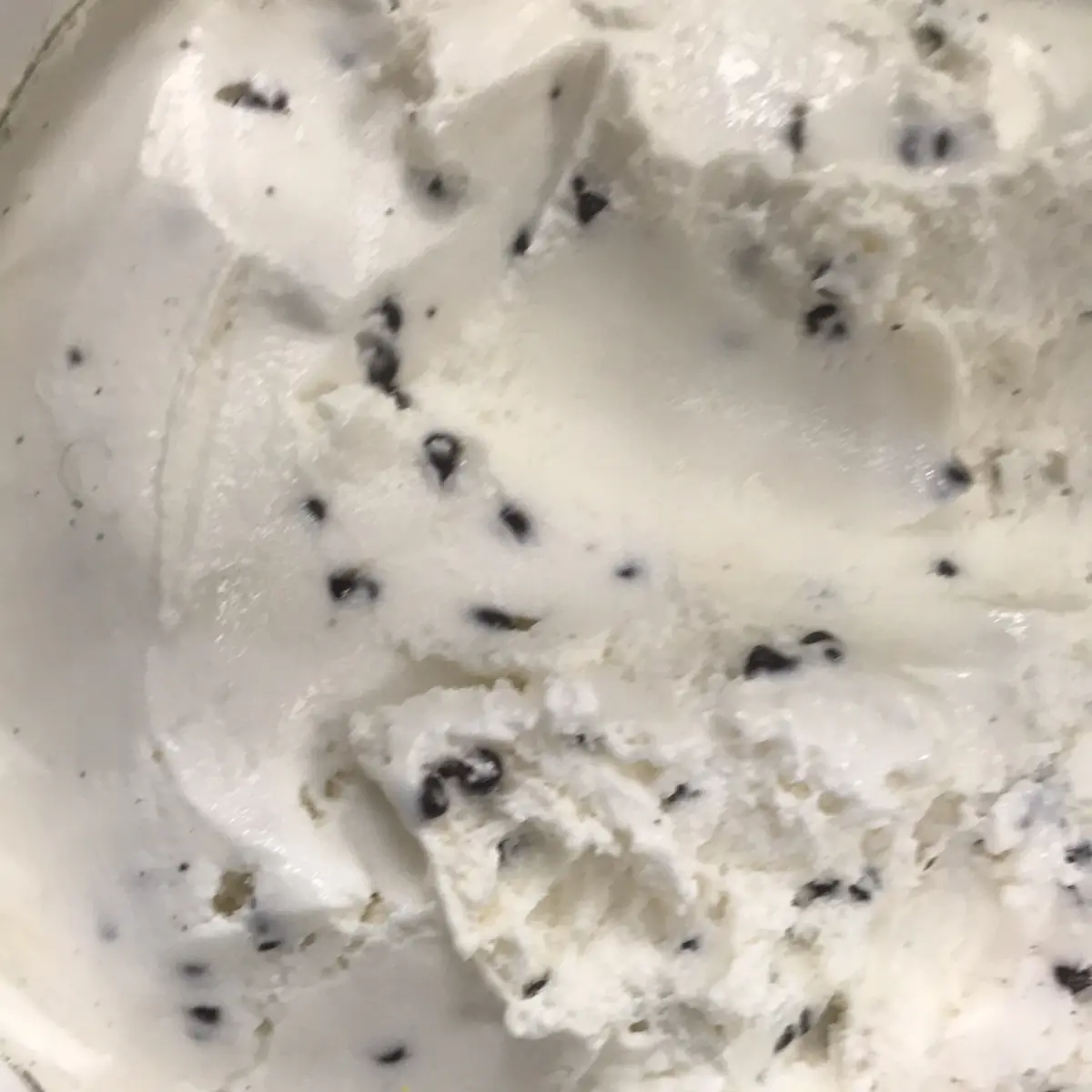 Chocolate Chip Ice Cream