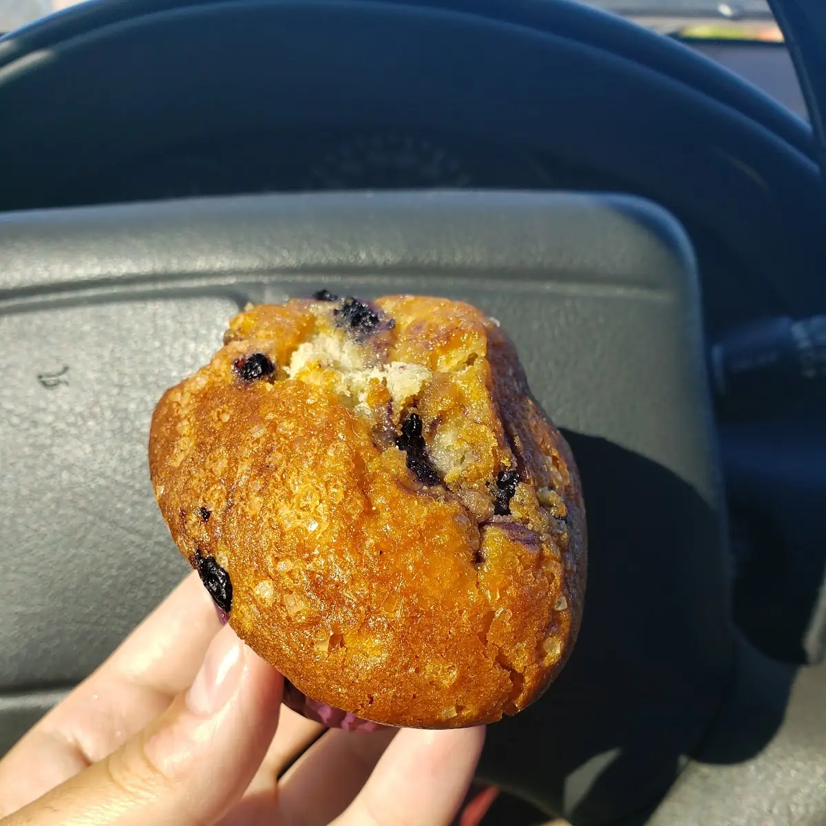 Blueberry Muffin
